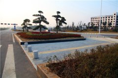 棗陽復興大道道路工程